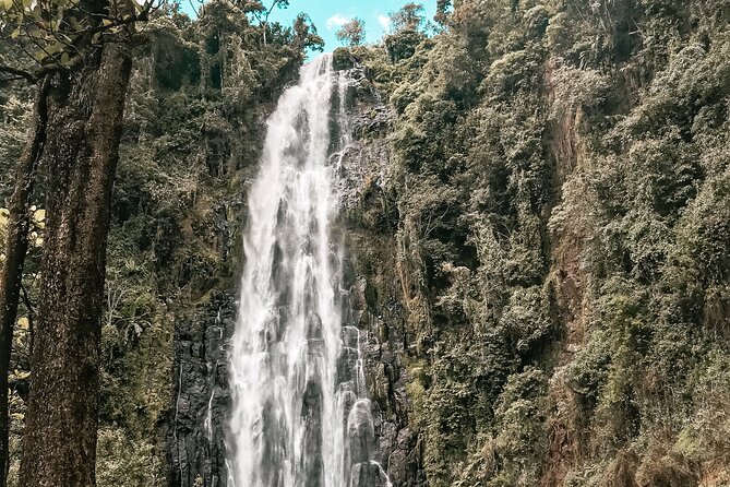 Half-Day Private Tour to Materuni Waterfalls and Coffee excursion - Timing, pickup, and practical planning