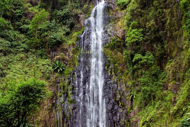Half-Day Private Tour to Materuni Waterfalls and Coffee excursion - Who should book this experience?