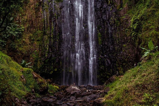 Half-Day Private Tour to Materuni Waterfalls and Coffee excursion - Should you book the Materuni Waterfalls and Coffee Tour?