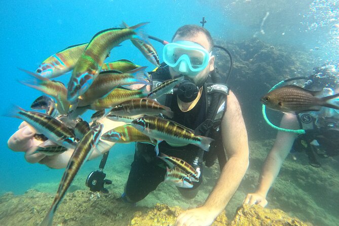 Half Day Scuba Diving @ Duden Waterfalls - Snacks, drinks, and time between sessions