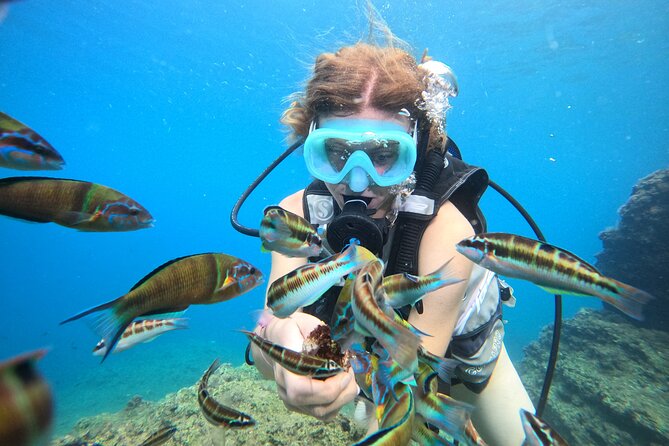 Half Day Scuba Diving @ Duden Waterfalls - What the five-hour schedule feels like