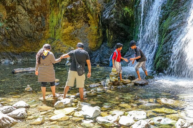 Half Day Tour to Faery Waterfalls, Castle Lake and Mount Shasta - Key Points Before You Book