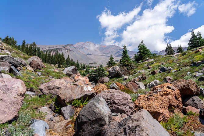 Half Day Tour to Faery Waterfalls, Castle Lake and Mount Shasta - Why This Mount Shasta Tour Works