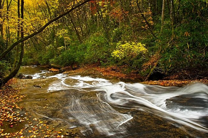 Half-Day Tour With Instruction in Vistas & Waterfall Photography - Working with waterfalls and moving water