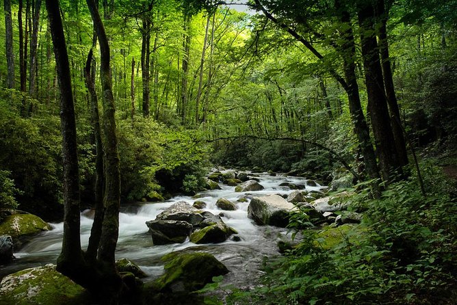 Half-Day Tour With Instruction in Vistas & Waterfall Photography - The value of the $150 price