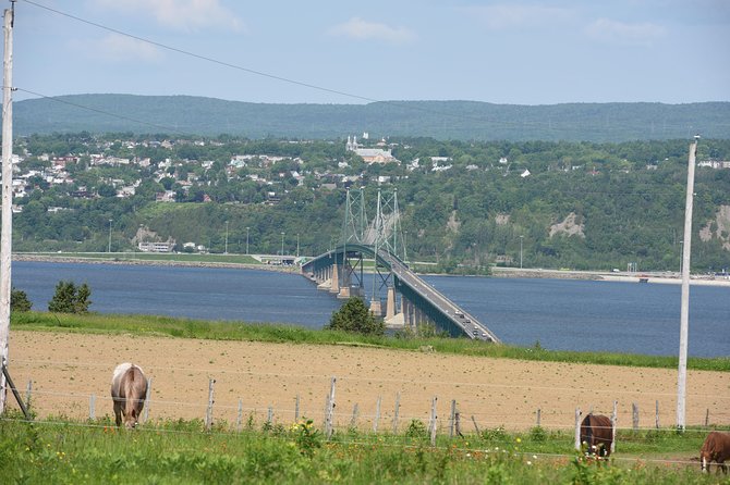 Half-Day Trip to Montmorency Falls and Ste-Anne-de-Beaupré from Quebec city - Albert Gilles Copper Art and Museum