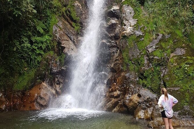 Half Day Waterfall Tour from Medellin - Why Alejandro and Sebastian matter on this trail