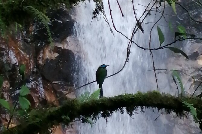 Half Day Waterfall Tour from Medellin - What to pack for the muddy sections