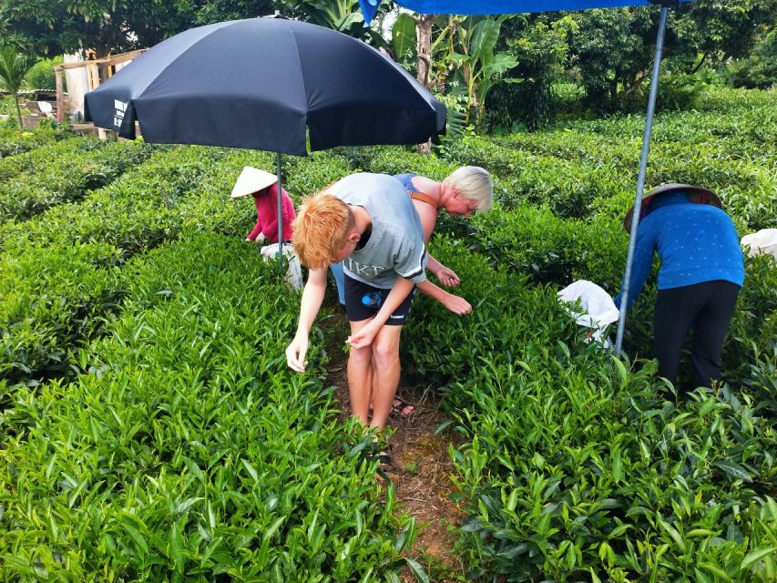 Hanoi: 3-Day Tour to Ban Gioc Waterfall and Ba Be Lake - Key points before you book