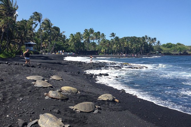 Hawaii Big Island Circle Small Group Tour: Waterfalls - Hilo - Volcano - Black Sand Beach - Key points at a glance