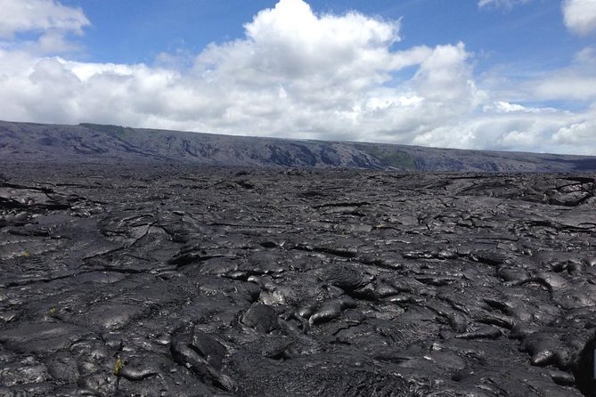 Hawaii Big Island Circle Small Group Tour: Waterfalls - Hilo - Volcano - Black Sand Beach - Punaluʻu Black Sand Beach and green sea turtles