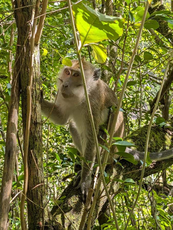Henrietta: Hiking at the Tamarind Waterfalls - What the six-hour schedule really feels like