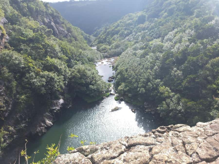 Henrietta: Hiking at the Tamarind Waterfalls - Entering the forest beside the river