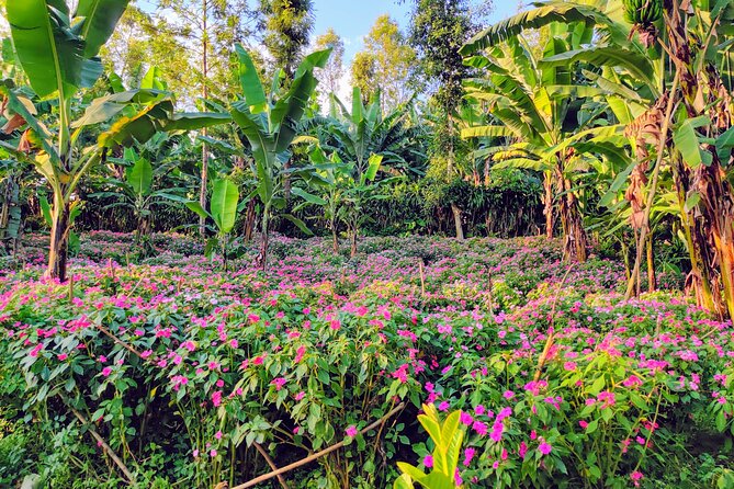 Hidden Arusha Waterfall, Coffee & Village Tour (All-Inclusive) - Mangalia Waterfalls and the chance to swim