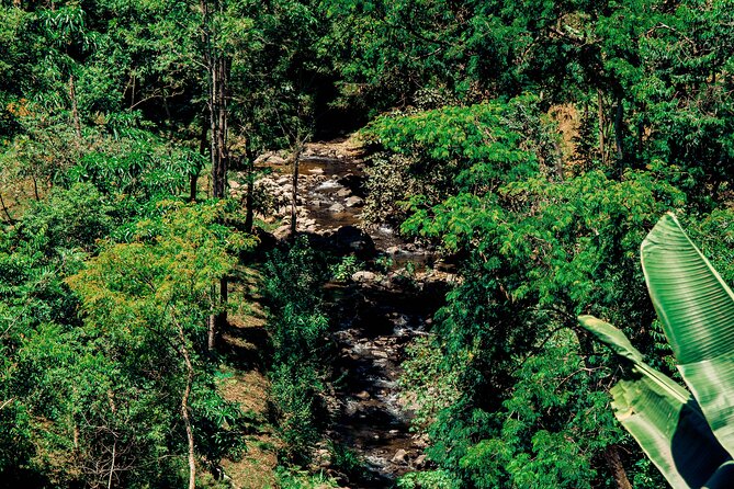 Hidden Arusha Waterfall, Coffee & Village Tour (All-Inclusive) - Who will enjoy this tour most?