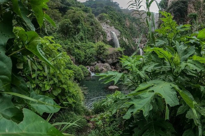Hike and Swim in fresh springs and waterfalls in Guadalajara - Booking, cancellation, and timing advice