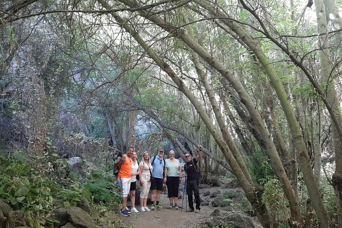 Hiking in Waterfalls & Rainforest with local guides: Sky Rebels - What the $98.52 price buys you