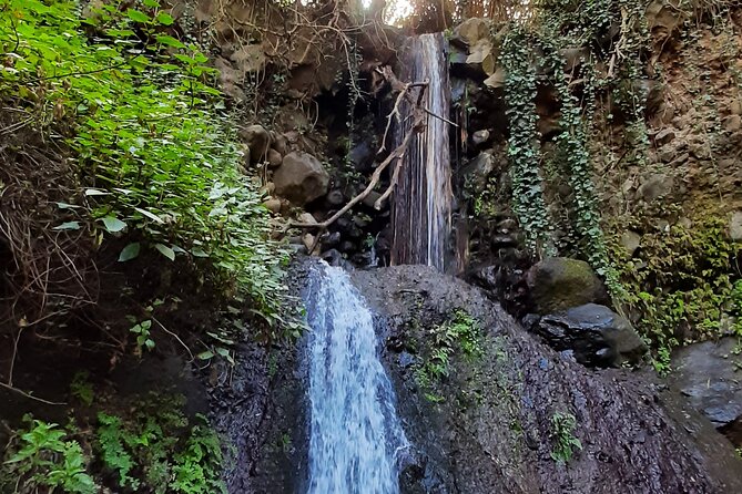 Hiking in Waterfalls & Rainforest with local guides: Sky Rebels - Who should book this hike?