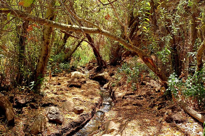 Hiking in Waterfalls & Rainforest with local guides: Sky Rebels - Booking and cancellation details