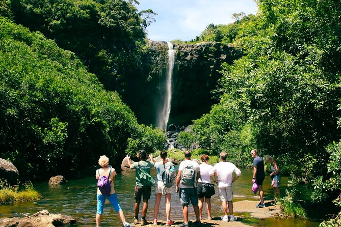 Hiking Sept Cascades (Tamarind Falls) - Half Day - Is $57.93 good value?
