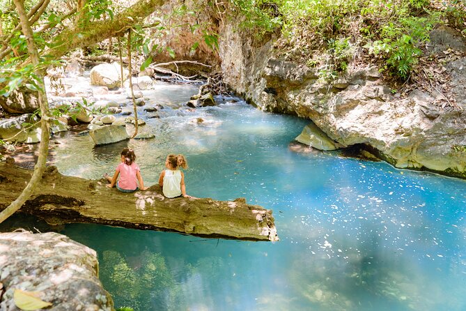 Hiking Tour of La Leona Waterfall with Lunch - What the Three-Hour Hike Is Really Like