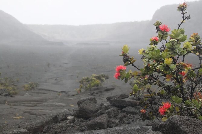 Hilo Cruise Ship Excursion: Volcanoes National Park Rainbow Falls - Optional-feeling stops around Hilo