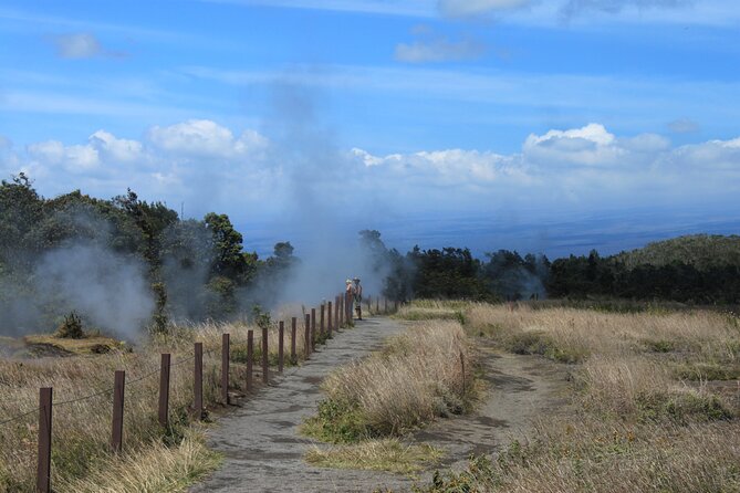 Hilo Shore Excursion: Active Volcano, Lava Tube, Waterfall and Gardens - What you see along the Chain of Craters Road