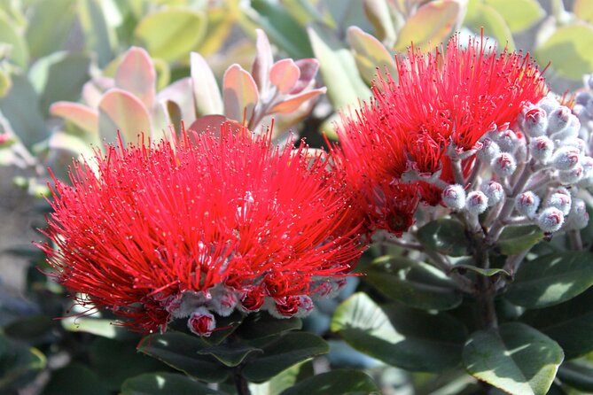 Hilo Shore Excursion: Active Volcano, Lava Tube, Waterfall and Gardens - A quiet walk through Liliʻuokalani Gardens