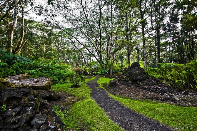 Hilo Shore Excursion: Volcano Safari Lava Caves & Black Sand - Leilani Estates and the scale of Kilauea’s eruption