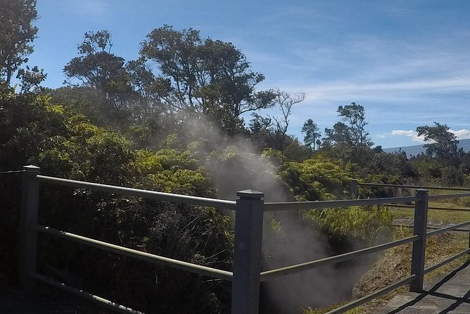 Hilo Shore Excursion: Volcanoes National Park & Black Sand Beach - Macadamia Nuts and Big Island Snacks