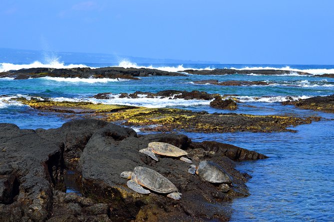 Hilo Shore Excursion: Volcanoes National Park & Black Sand Beach - Entering Volcanoes National Park