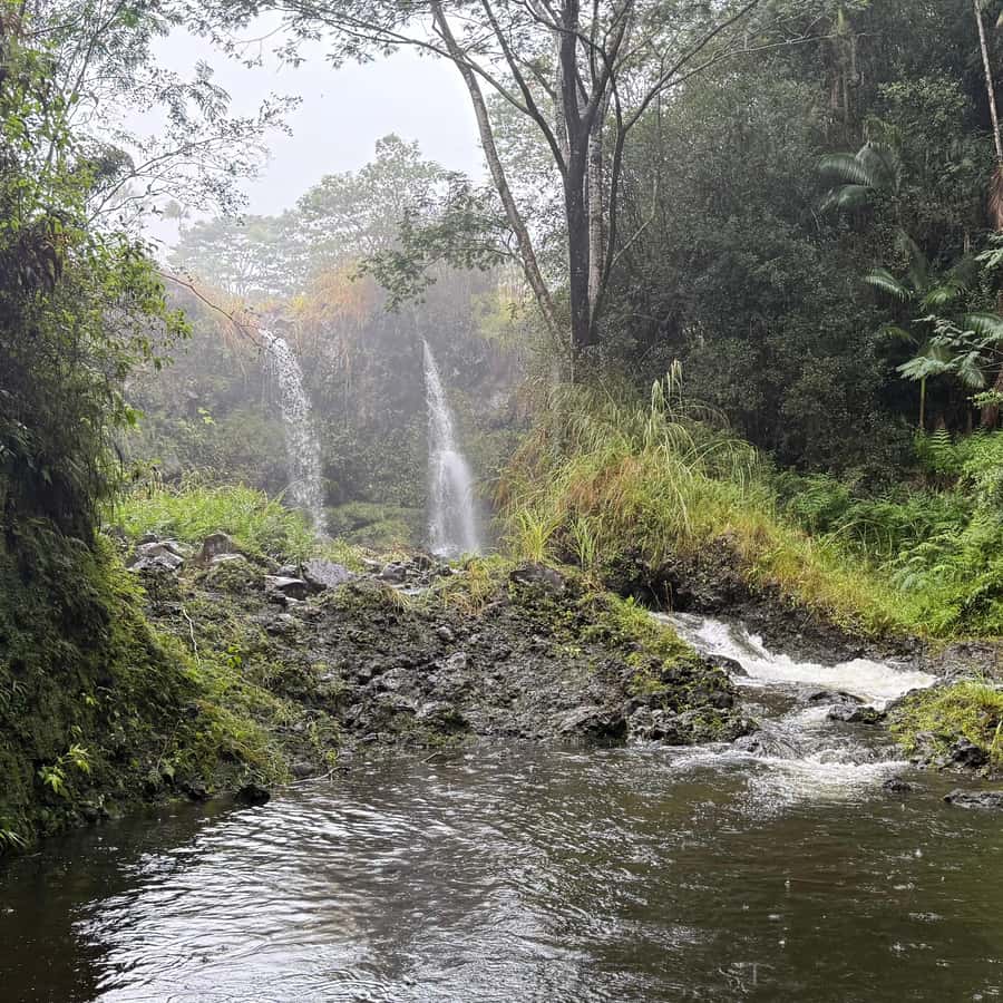 Hilo: Waterfall Hike and Swim with Native Hawaiian - Swimming at Waiāle Falls