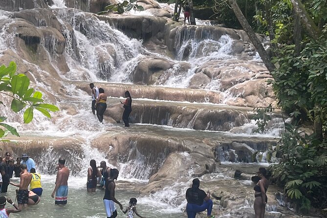 Horseback Riding and Swimming then Dunn's River Falls - Key points before you book