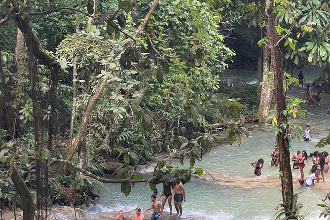 Horseback Riding and Swimming then Dunn's River Falls - What the $85 price really includes