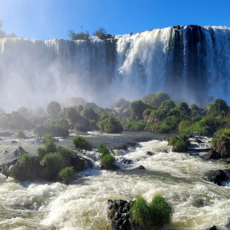 Iguassu Falls: Brazilian Side Private Tour - Devil’s Throat and the river walkway