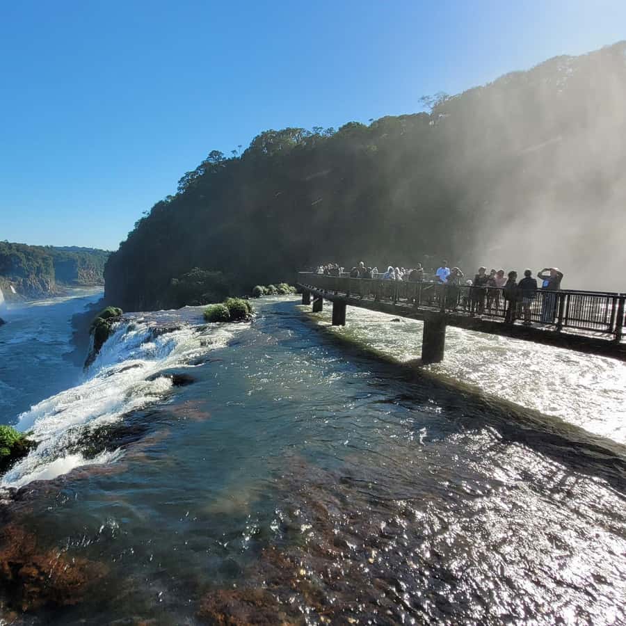 Iguassu Falls: Brazilian Side Private Tour - What the $172 price really buys you