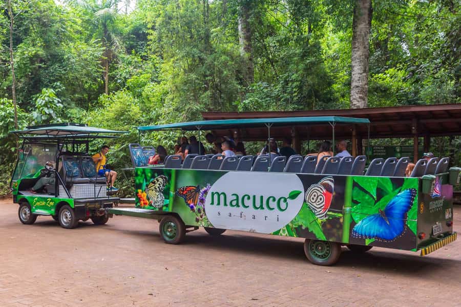 Iguassu Falls: Guided Tour & Macuco Safari on Pontoon Boats - Time, waiting, and the pace of the day