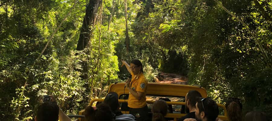 Iguazu Falls: Gran Aventura Boat and Argentinian Falls Tour - The 4x4 jungle ride adds context, not a safari