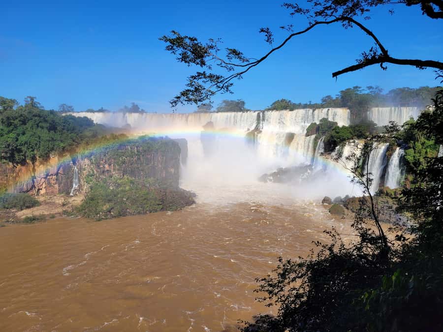 Iguazu Falls: Guided Tour in Argentinean Side - What the $245 private price really buys