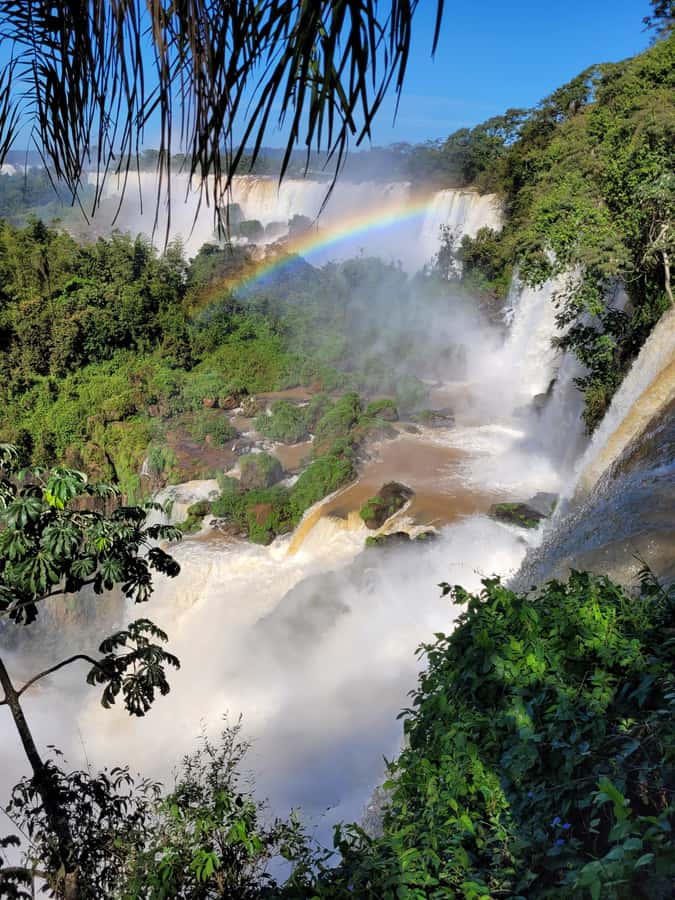 Iguazu Falls: Guided Tour in Argentinean Side - Choosing Jungle Gran Aventura instead of a trail