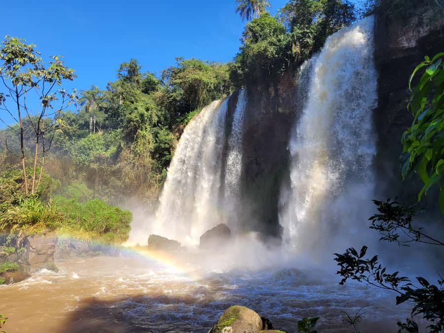 Iguazu Falls: Guided Tour in Argentinean Side - A guide who adds more than directions