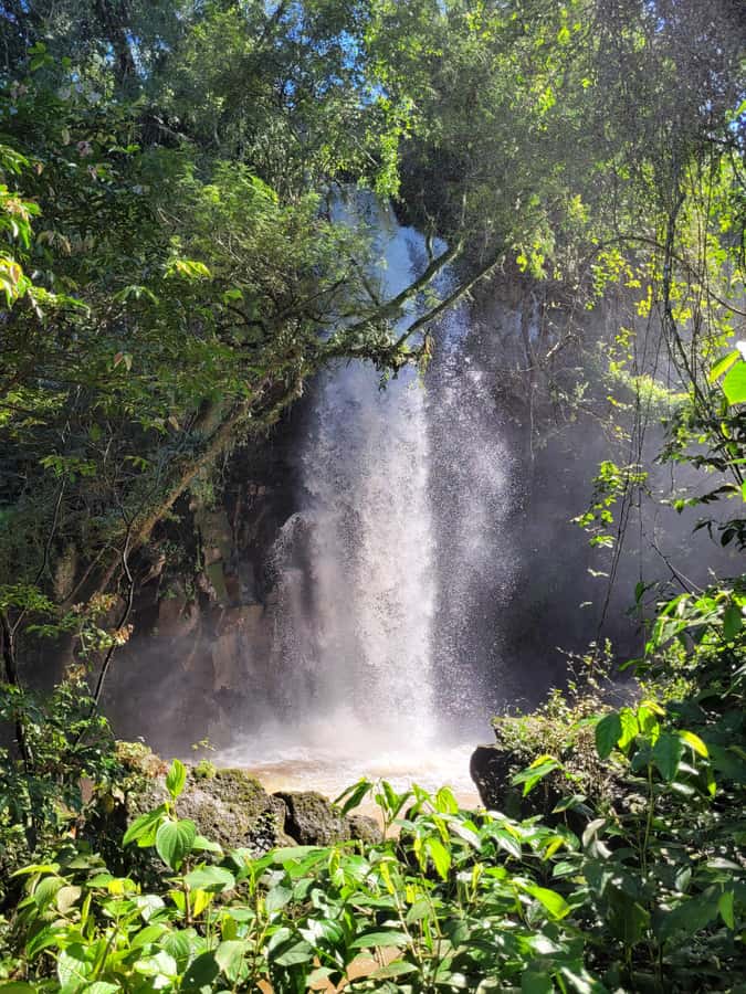 Iguazu Falls: Guided Tour in Argentinean Side - Pickup from Puerto Iguazú or Foz do Iguaçu