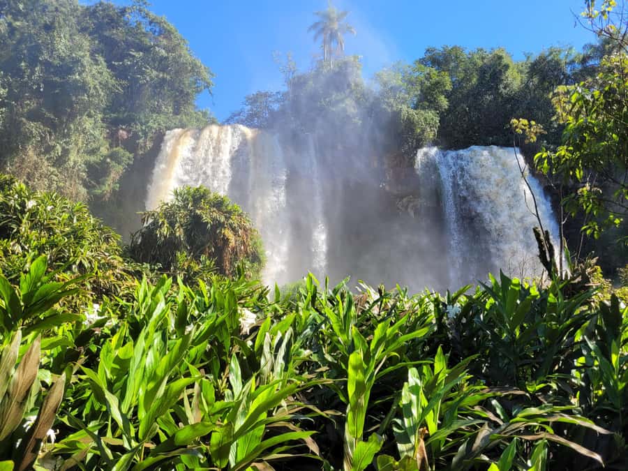 Iguazu Falls: Guided Tour in Argentinean Side - Who will get the most from this tour