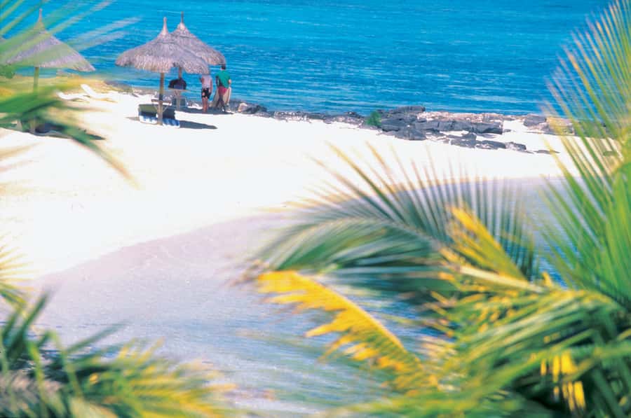 Ile aux Cerfs: Island & Waterfall Speedboat Tour with Lunch - What the $55 price really gets you