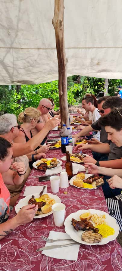 Ile aux Cerfs: Island & Waterfall Speedboat Tour with Lunch - Getting back can require attention
