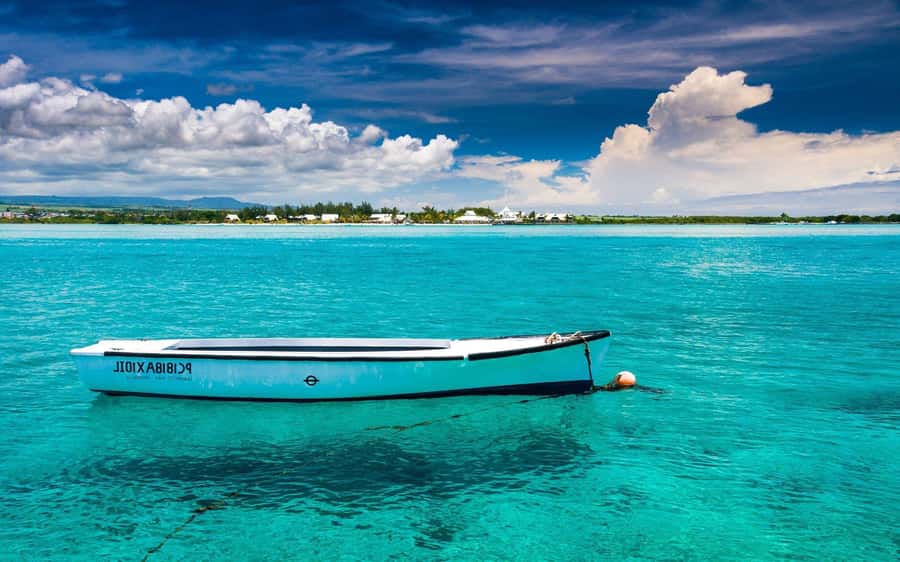 Ile aux cerfs: Private picnic, waterfall, bbq beach lunch - Key points at a glance