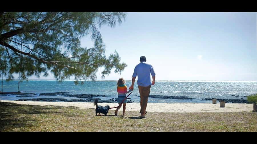 Ile aux cerfs: Private picnic, waterfall, bbq beach lunch - The skipper makes or breaks the day