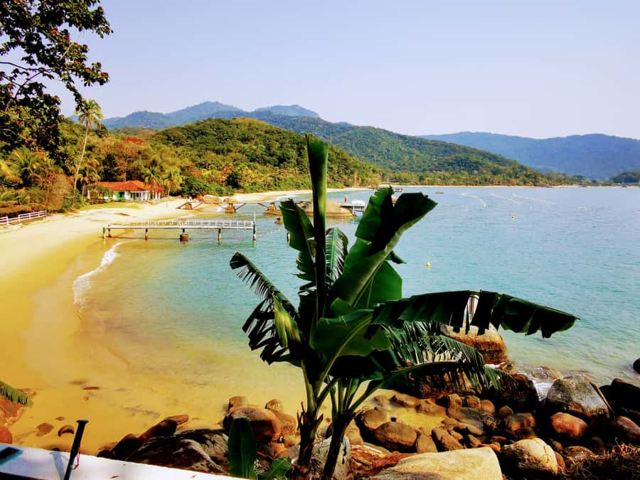 Ilha Grande: Private Hiking with Forest, Beaches & Waterfall - The forest trail demands steady legs
