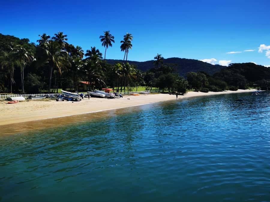 Ilha Grande: Private Hiking with Forest, Beaches & Waterfall - Camiranga and Pereque bring the beach time