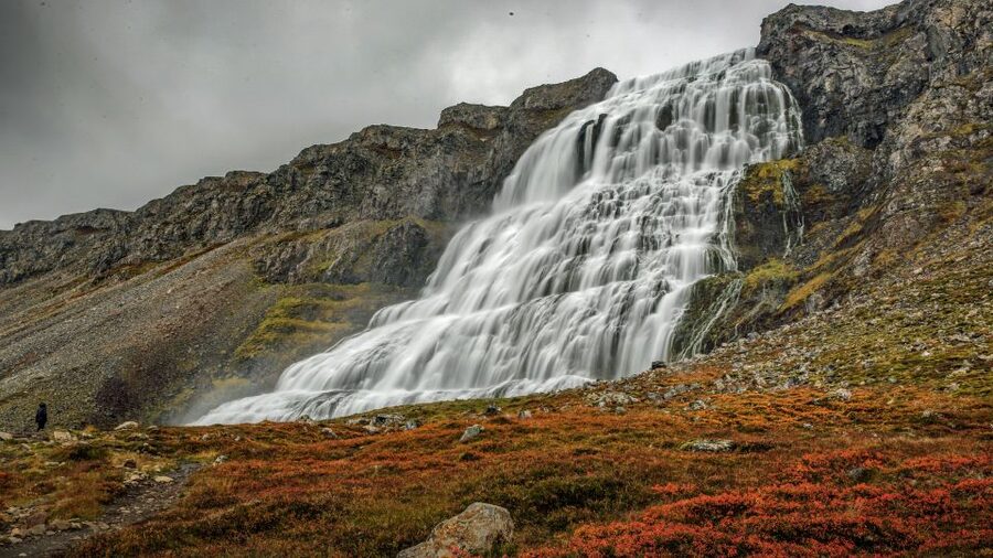 Isafjordur: Dynjandi Waterfall Tour and Icelandic Farm Visit - Key points to know before booking
